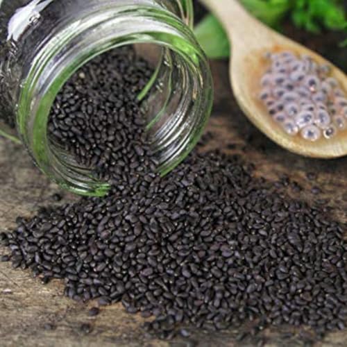 Nutri Organics Basil Seeds 1kg - Sabja Seeds | Tukmaria Seeds with High Fibre and Omega 3 | Seeds for Eating | Weight Management | Seeds Tukmaria
